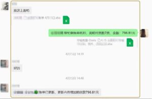 赔付记录 04 · 796.81 元，用户提供的脱敏业务截图